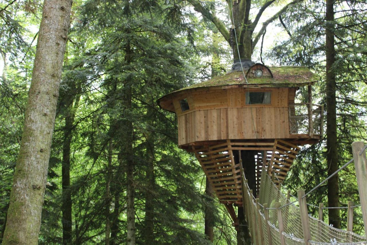 Domaine De Syam - Gites, Chambres D'Hotes & Cabanes Exterior foto